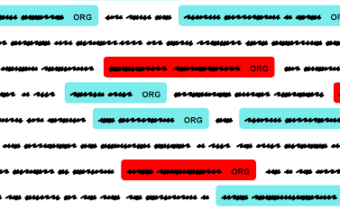 Classifying SpaCy’s ORG Named Entities with  Machine Learning